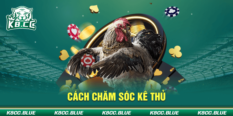 29-Cach-cham-soc-ke-thu