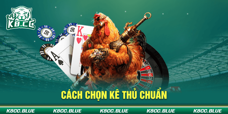 30-Cach-chon-ke-thu-chuan